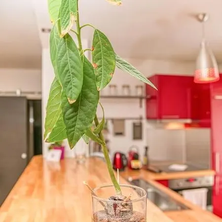 50M Gem - 400M Gare: Garage Prive, Terrasse, Wifi Apartment Grenoble Exterior photo