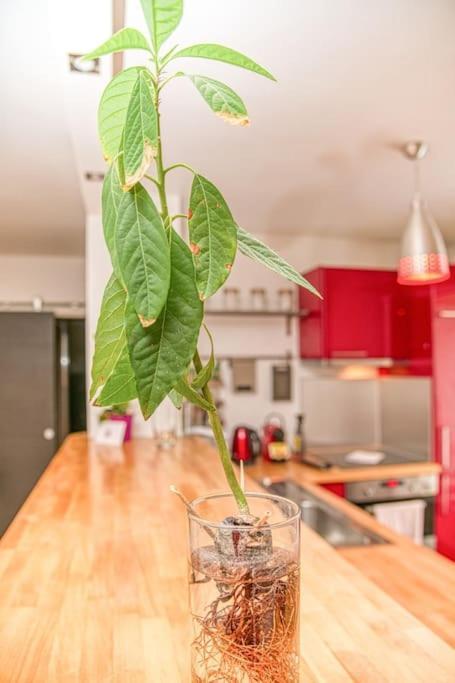 50m Gem - 400m Gare: Garage Prive, Terrasse, Wifi
