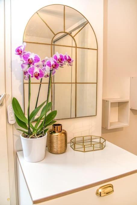Apartment 50m Gem - 400m Gare: Garage Prive, Terrasse, Wifi